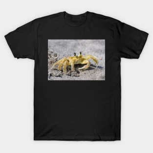 Golden T-Shirt